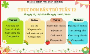 Thực đơn bán trú tuần 12, năm học 2024-2025